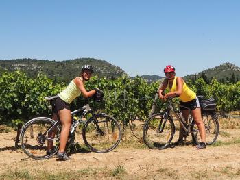 Provence na kole: Od Verdonu až po Camargue